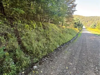 Property at 1235 Kansas Hollow Road, Bolivar, NY 14715