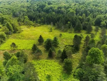 Property at 6030 NYS Route 26, Triangle, NY 13862
