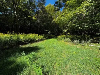 Property at 185 Kaine Road, Williamstown, NY 13302