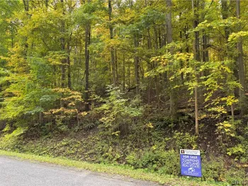 Property at Smith Road, Newfield, NY 14867