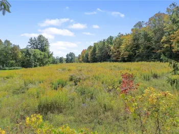Property at 0 Kinyon Road, Otisco, NY 13110