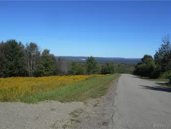 Property at 0 Dutch Hill Rd, Lot #1, Ashford, NY 14171