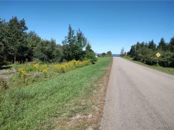 Property at 0 Dutch Hill Rd, Lot #2, Ashford, NY 14171