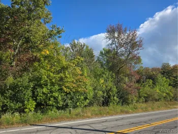 Property at V/L Pleasant Avenue, Hamburg, NY 14075