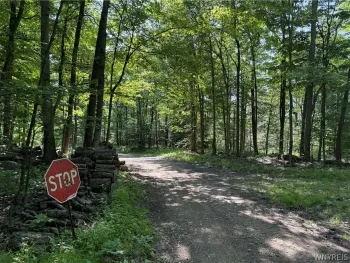 Property at Salt Rising Road, Bolivar, NY 14715