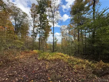 Property at Salt Rising Road, Bolivar, NY 14715