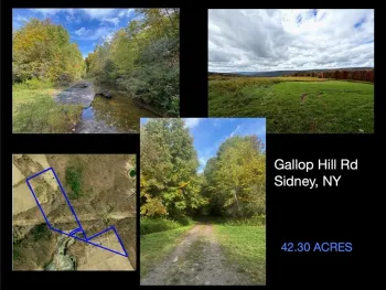 Property at Gallop Hill Road, Sidney, NY 13838