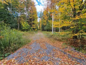 Property at 00 Bush, New Bremen, NY 13327
