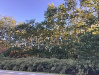 Property at 829 Scottsville Mumford Road, Wheatland, NY 14546