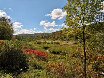 Property at Halsey Valley Rd, Spencer, NY 14883