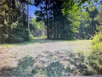 Property at 6984 Bowers Road, Stockton, NY 14718