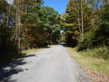 Property at Phillips Road, Windsor, NY 13865