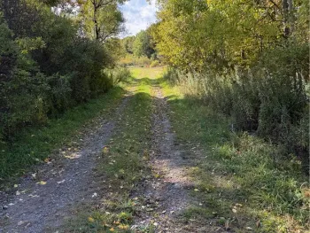Property at Hardnocks Rd, Unadilla, NY 13849