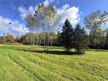 Property at 4048 Deneef Road, Lyons, NY 14489