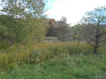 Property at 10628 Route 16, Yorkshire, NY 14042