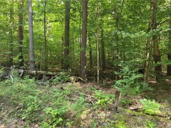Property at Lot 1 George Hill Road, Watson, NY 13343
