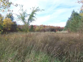 Property at Lot 1 Colony Run, Alexander, NY 14005