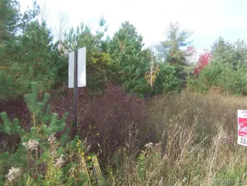 Property at Lot 3 Colony Run, Alexander, NY 14005