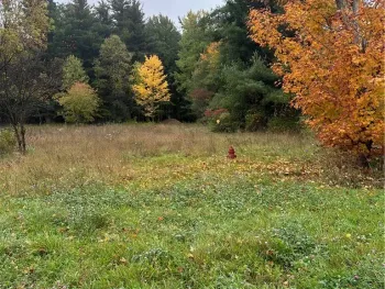 Property at 31721 State Route 3, Rutland, NY 13619