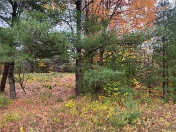 Property at 40550 State Route 3, Wilna, NY 13619