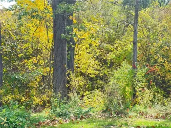 Property at Ridge Road, Lewiston, NY 14092