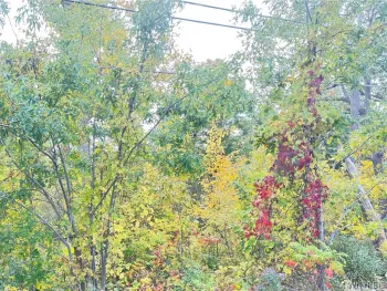 Property at Ridge Road, Lewiston, NY 14092