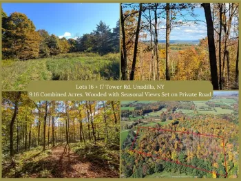Property at Lot 16 + 17 Tower Road, Unadilla, NY 13849
