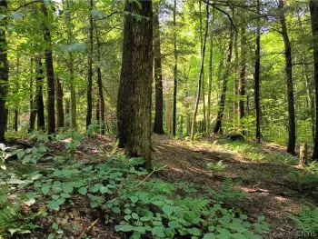 Property at Tomahawk, Forestport, NY 13338