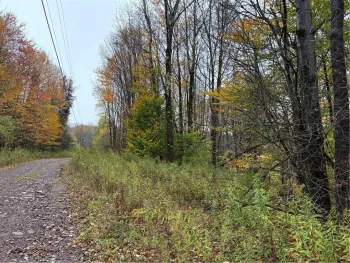Property at Dancing Street, Meredith, NY 13753