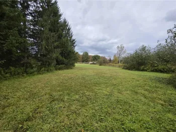 Property at 3239 Route 39, Eagle, NY 14024