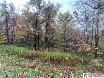 Property at Park Road, Arkwright, NY 14718