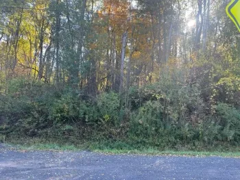 Property at Wheaton Hill Road, Springwater, NY 14560