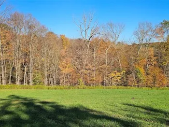 Property at 1100 Courtney Hill Road, Lapeer, NY 13803