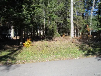 Property at Brownwood Dr, Forestport, NY 13338