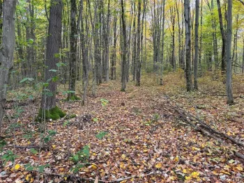 Property at Sunset Hill Road, Machias, NY 14101