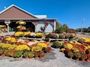 Property at 4172 State Route 14A Street, Barrington, NY 14527