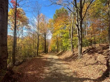 Property at Paynesville Hill Road, Independence, NY 14897