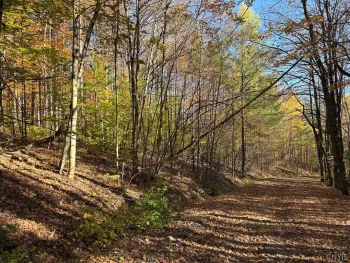 Property at Steuben, Steuben, NY 13438