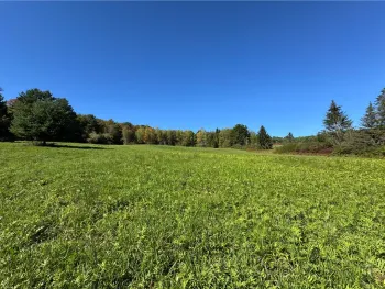 Property at Wilber Lake Road, Oneonta, NY 13820