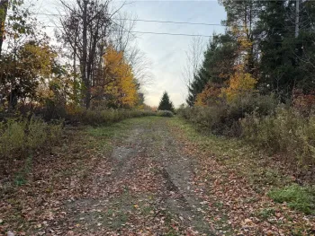 Property at 307 Watrus Road, Greene, NY 13778