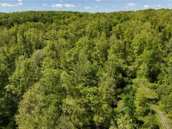 Property at 0 Forest Avenue Extension, Busti, NY 14701