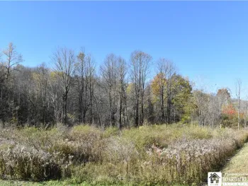 Property at 11088 SPRINGVILLE BOSTON ROAD, Concord, NY 14055