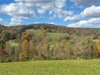 Property at 453 Triverfield Road, Sidney, NY 13838