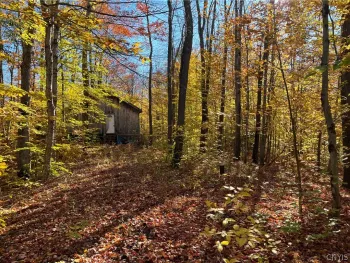 Property at 0 Lee Road, Florence, NY 13316