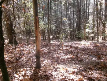 Property at 0 Wyncoop Creek Road, Chemung, NY 14825