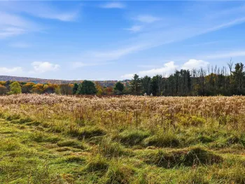 Property at 350 Lower Creek Road, Dryden, NY 14850