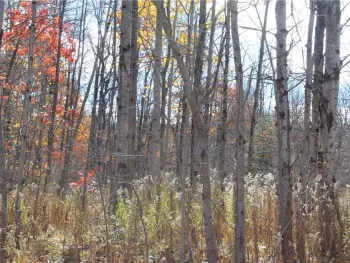 Property at 1070 County Rd 35, Guilford, NY 13780