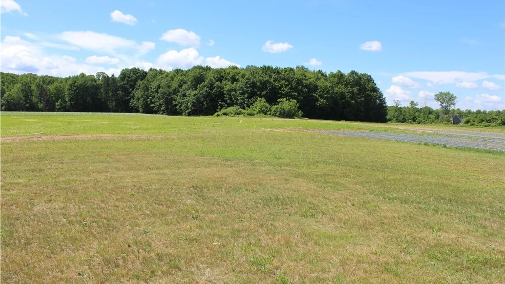 Property at 8575 Henry Clay Boulevard, Clay, NY 13041 25