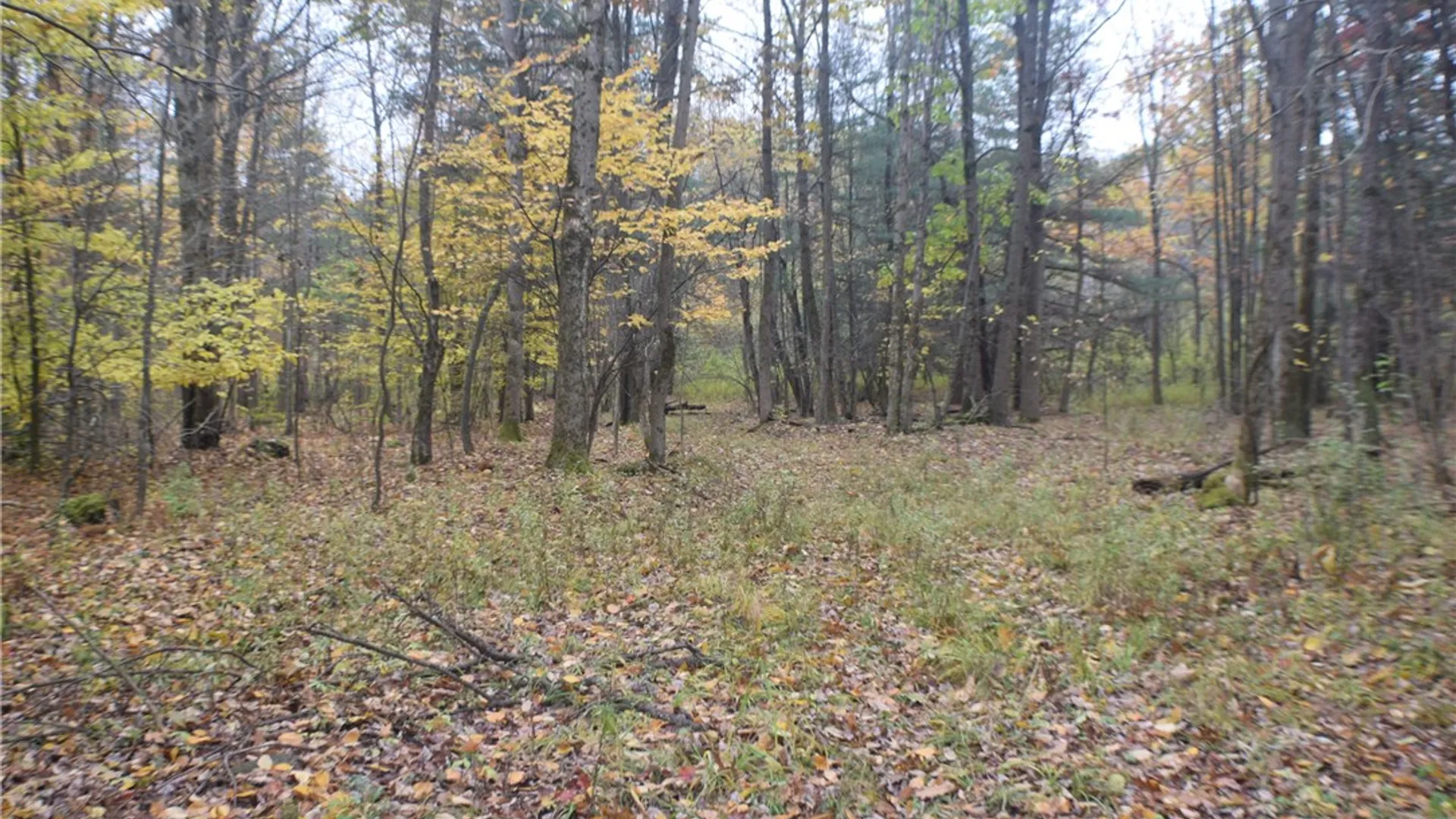 Property at 0 Crandall Rd & County Rd 37, Guilford, NY 13780 3
