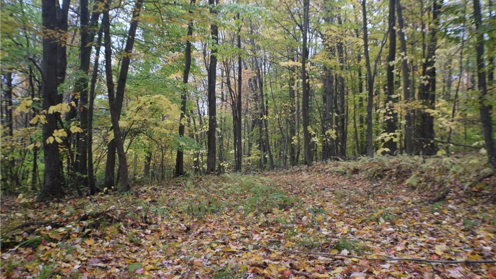 Property at 0 Crandall Rd & County Rd 37, Guilford, NY 13780 4